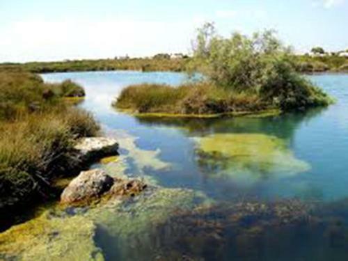 Apartamento Appartamento Trianni