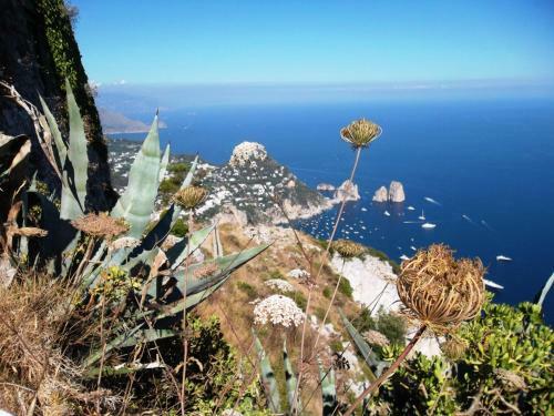 Apartamento Tra Montagne E Mare