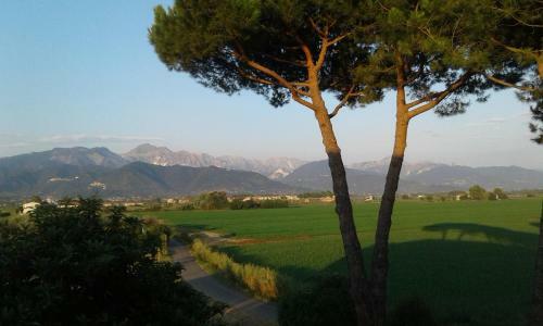 Hostal B&B Il Limone