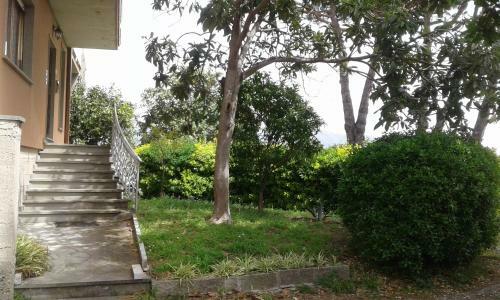 Hostal B&B Il Limone