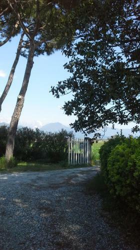 Hostal B&B Il Limone