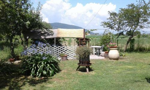 Hostal B&B Il Limone