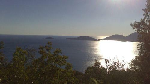 Hostal B&B Il Limone