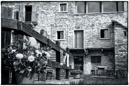 Il Girasole