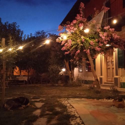 Bed & Breakfast Pocoburro Ca' D'arte