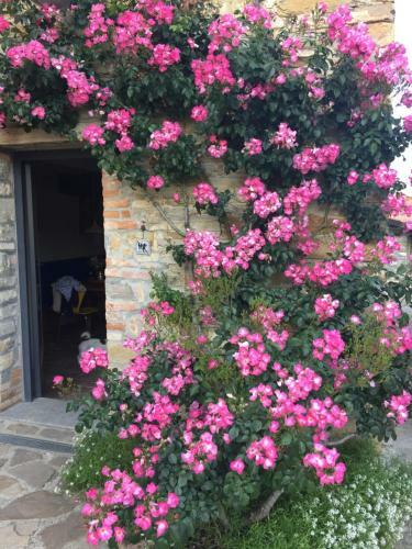 Bed & Breakfast Nido D'amore