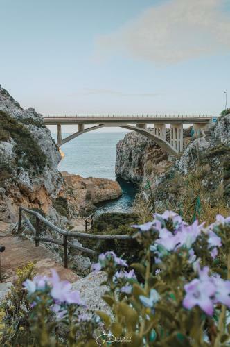 Apartamento Casa Vacanza Fiordaliso Di Leuca