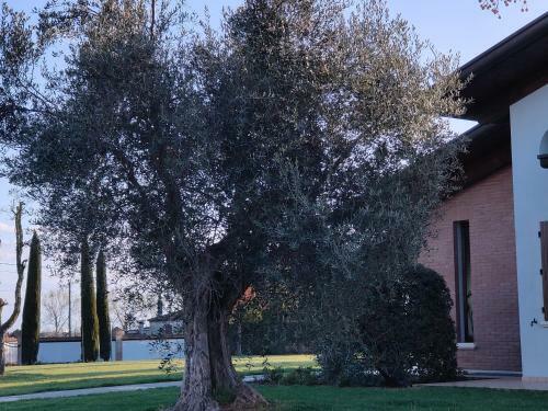 B&B Villa Letizia