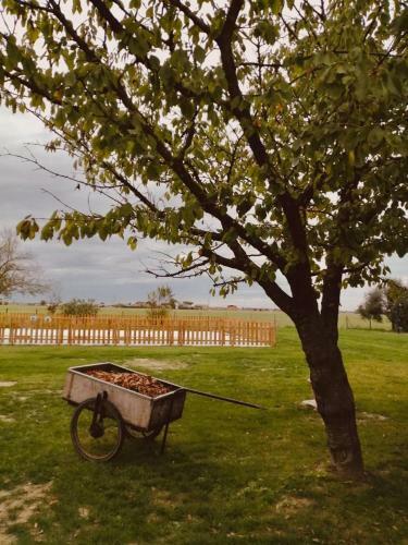 Bed & Breakfast Il Bianconiglio R&b