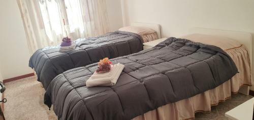 Apartments Delise