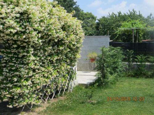 Bed & Breakfast 5 Palme