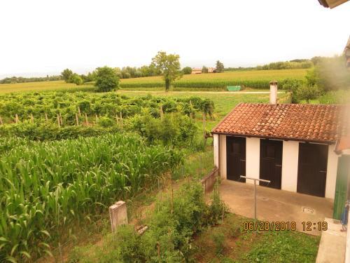 Bed & Breakfast 5 Palme