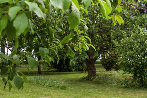 La Centuria Societ� Agricola Casa Vacanze