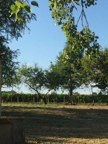 Le Barail (proche De St.emilion)