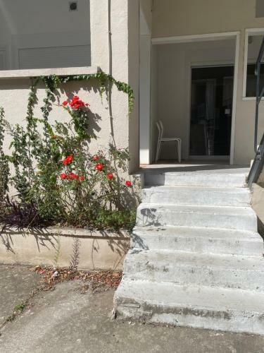 Apartamento J Class Appart