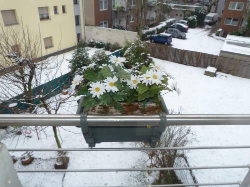 Apartamento Dobry Ferienwohnung