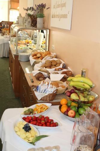 Hostal Hotel Goldener Hirsch