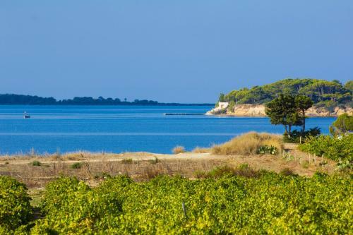 Isole Dello Stagnone Apartaments