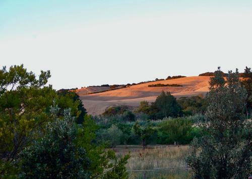 Bed And Breakfast Casale Del Sole
