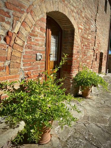 Apartamento Agriturismo Agro Centorio