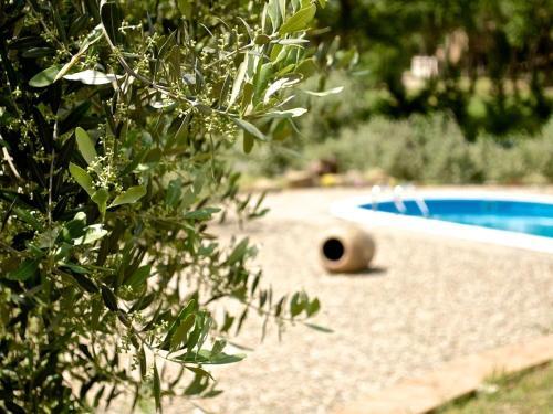 Pleasant Villa In Cortona With Private Swimming Pool