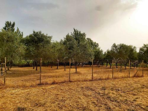 Apartamento Villa La Mucchia - Viola