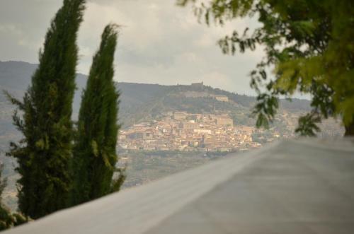 Luxury Villa In Cortona