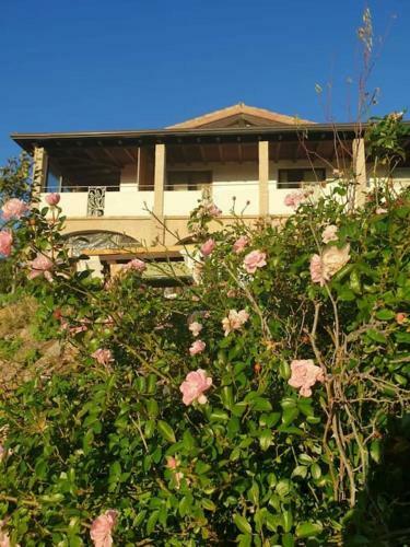 Casa Vacanza Is Istrias