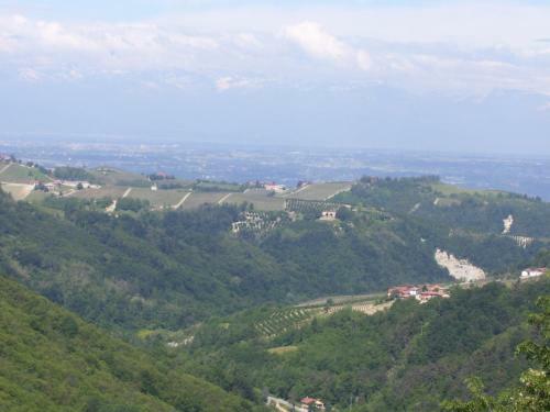 Il Sart�