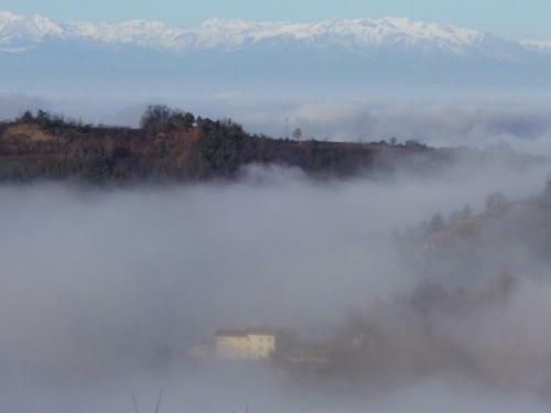 Il Sart�