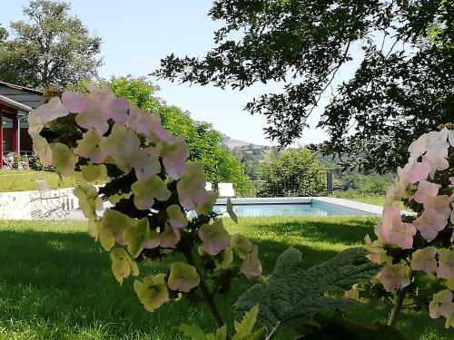 Bed & Breakfast Domaine Abartiague
