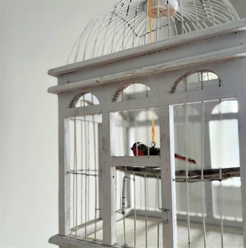 Apartamento Osseja XII