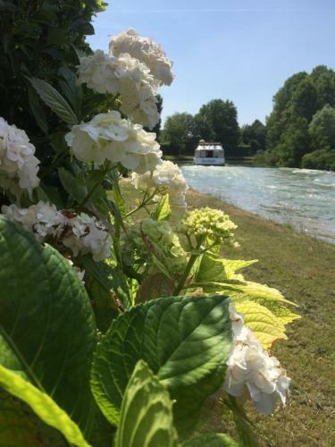 Bed & Breakfast Dimora Naviglio