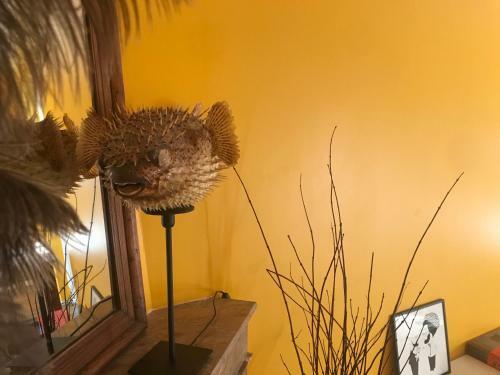 Bed & Breakfast Maison Mercredi