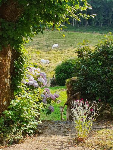 Bed & Breakfast Maison Mercredi