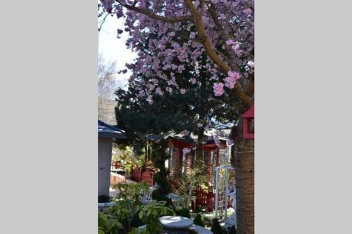 Au Printemps Japonais