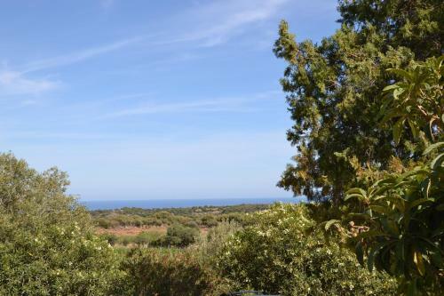 Casa Indipendente Immersa Nel Verde Con Vista Mare