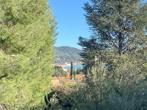 Villa Provence Plage Des Lecques