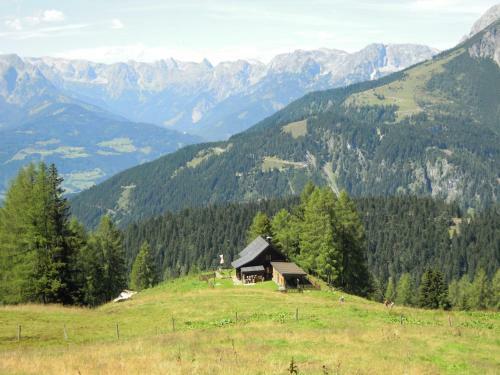 Apartamento Ferienhaus H�chh�usl
