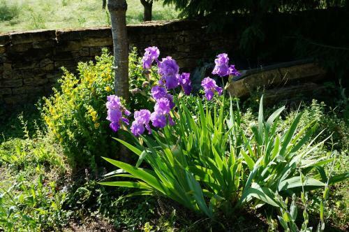 Bed & Breakfast Domaine De Gondrange