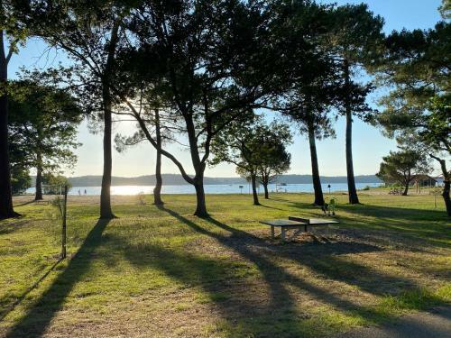 Cool Landes