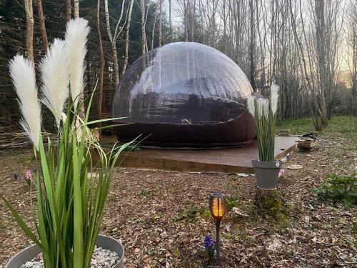 La Bulle "bubble Jungle"