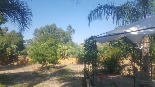 La Collina Delle Ginestre
