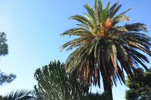 Il Paradiso Di Giacomo