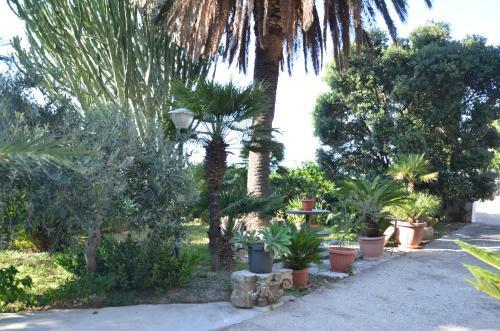 Il Paradiso Di Giacomo