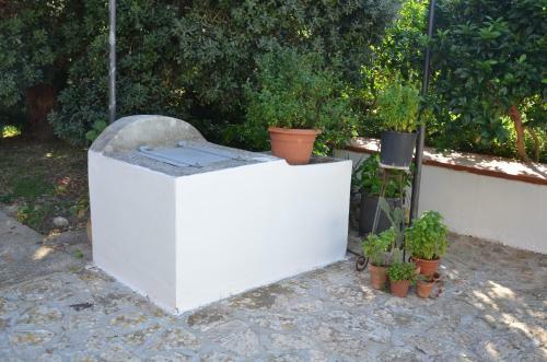 Il Paradiso Di Giacomo