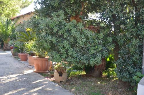 Il Paradiso Di Giacomo