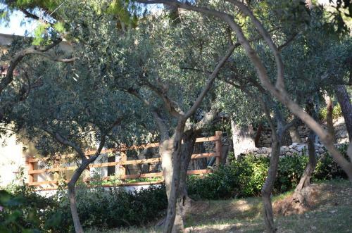 Il Paradiso Di Giacomo