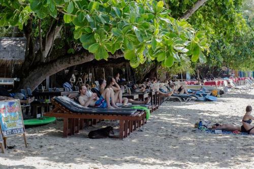 Nilwella Palms - Fabulous Beachfront Villa