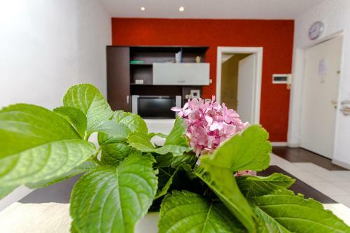 Apartamento My Home 1